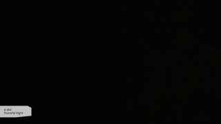 S-202 Peaceful Night